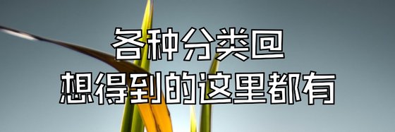 各種分類@想得到的這裡都有